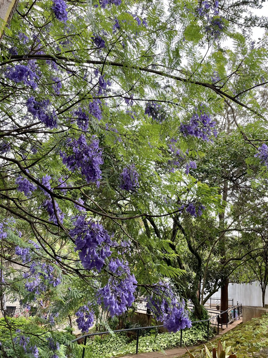 Maya Creates tweet media