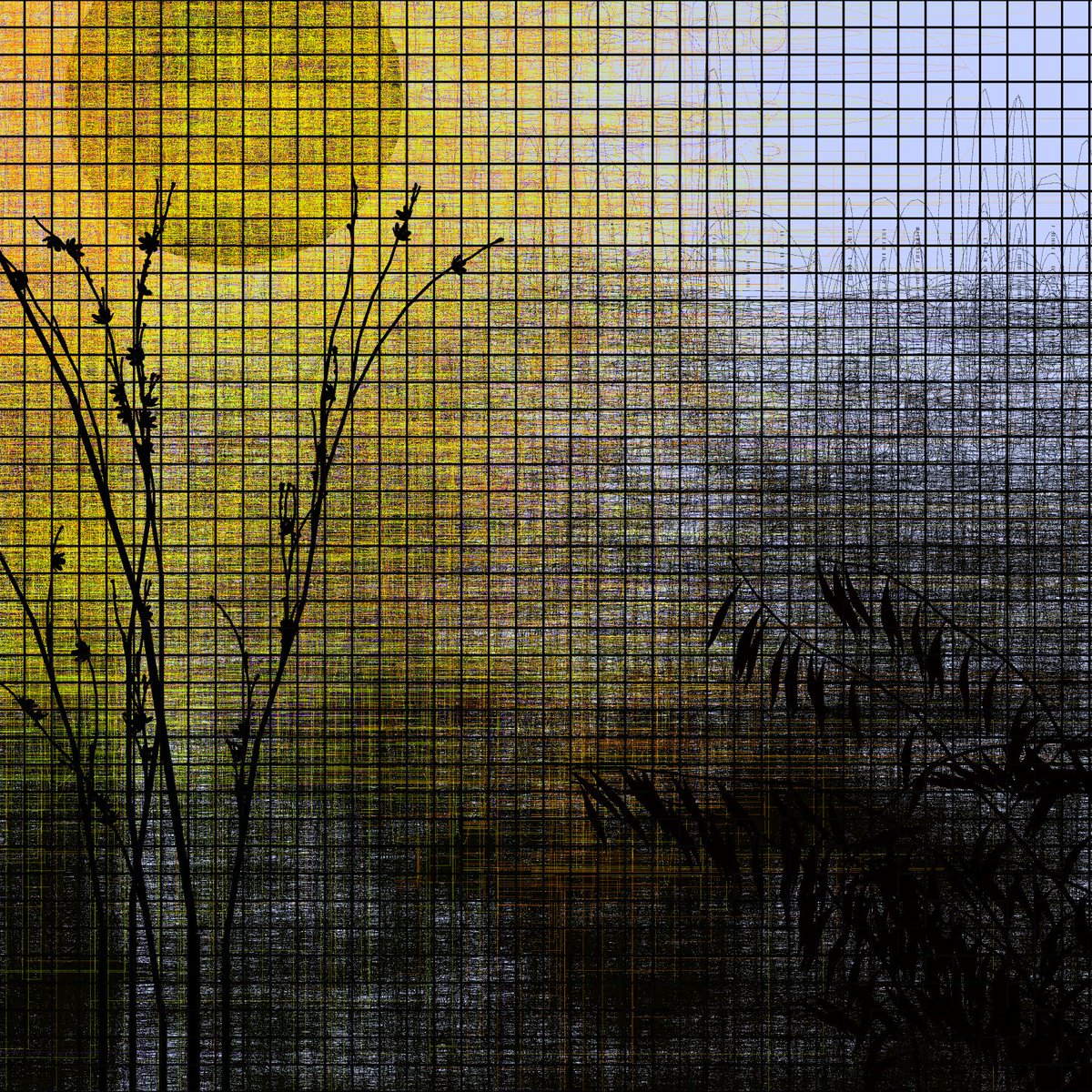 Patricia Rocha tweet media