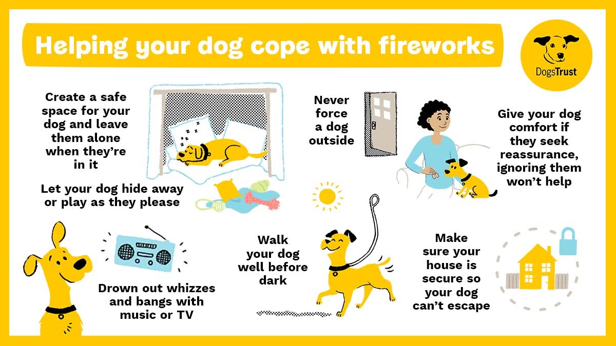 <a href="/FlynnTheRescue/">Flynn Bear and Mums</a> Hello, Flynn. Dogs Trust tweeted this infographics. Hope it's helpful. 🤗🙋💖

(I replied this newly in a certain reason. I'm sorry! 🤦🙈🙏)

#LearnWithFlynn