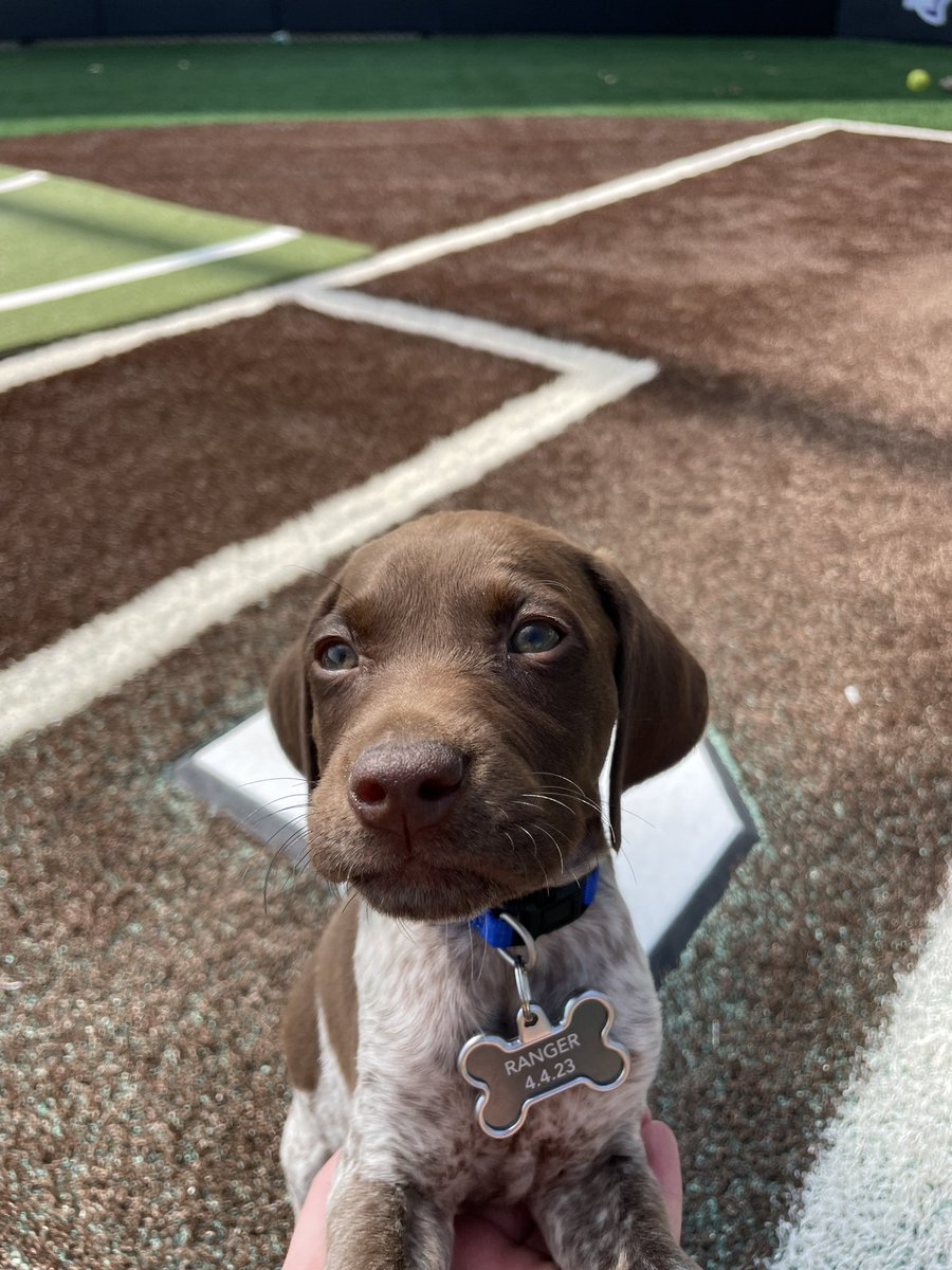 Kayla Wallace tweet media