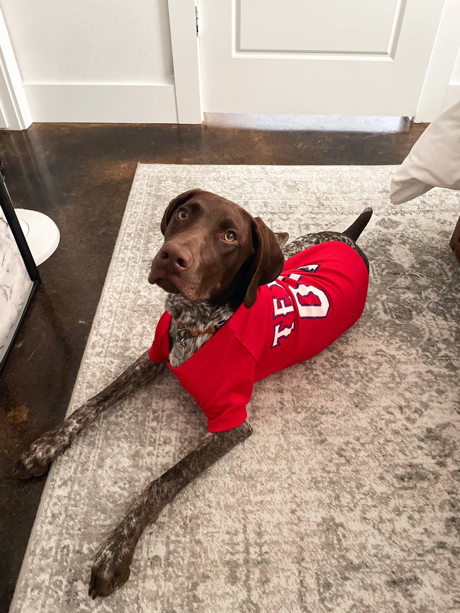 Ranger the rally dog, World Series Champ!!!