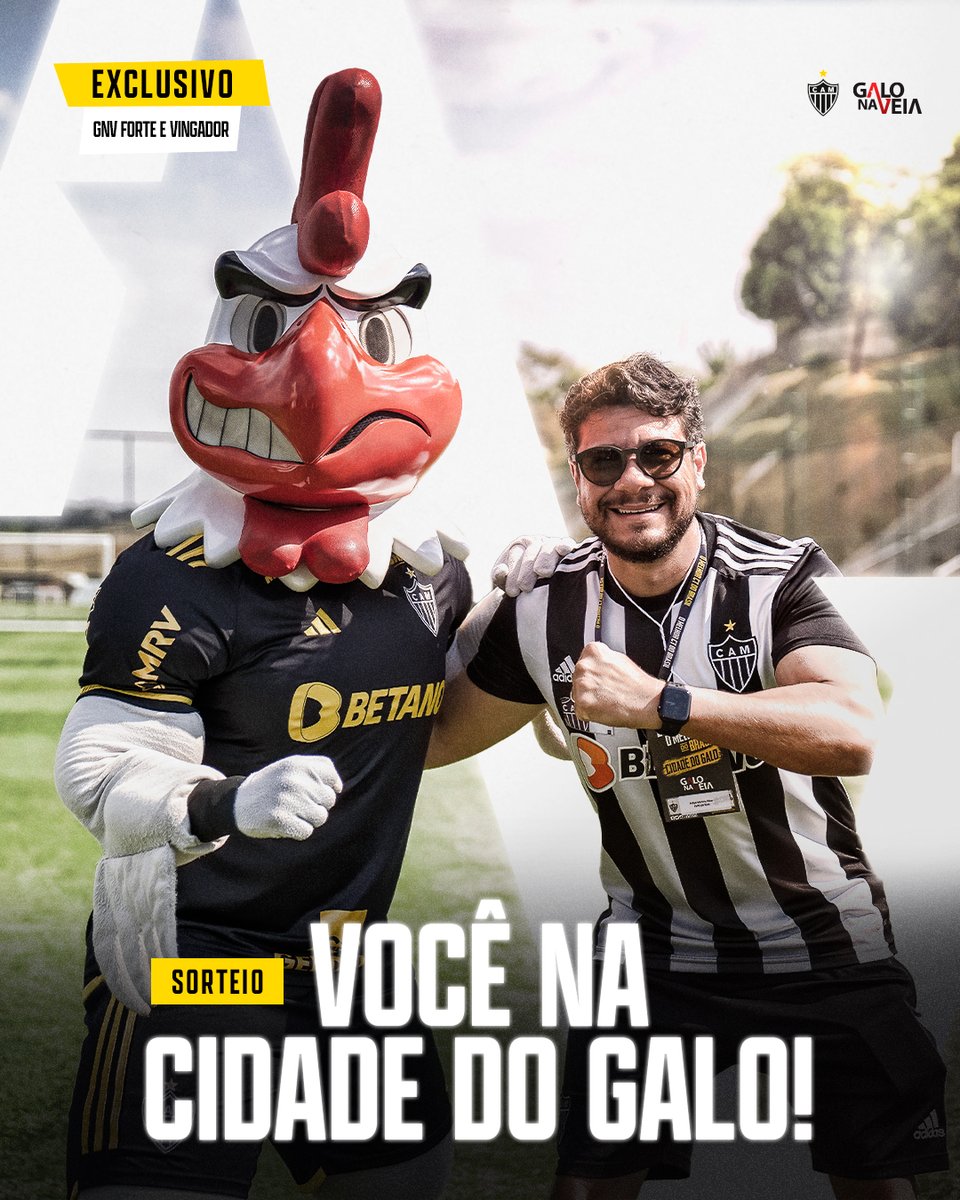 Galo Na Veia tweet media