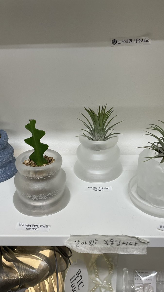 결국 웨이브팟 샀음