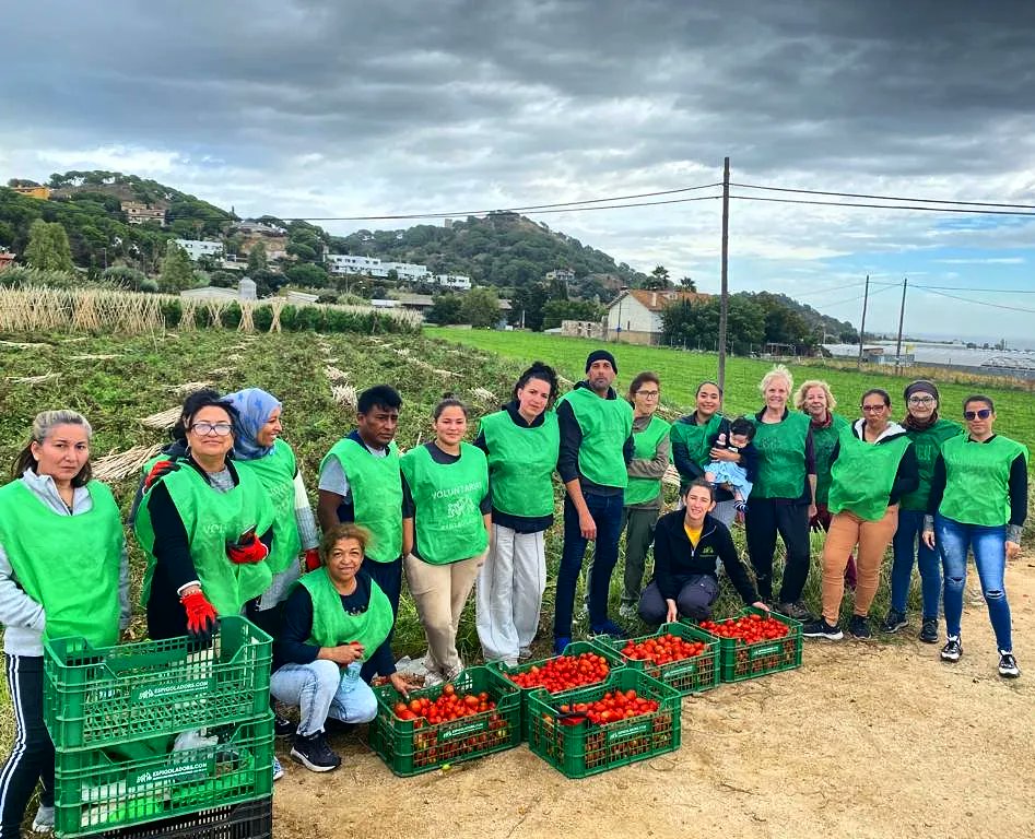 Fundació El Xiprer tweet media