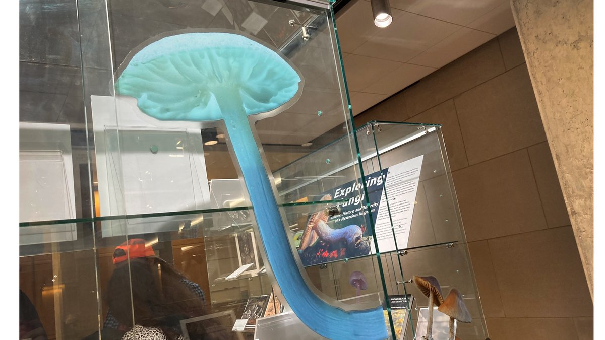Some photos from the bookcase exhibit, Exploring Fungi: Culture, History, and Diversity of a Fascinating Kingdom, Ohio State Thompson Library, in the study area outside of Rooms 150 A/B through May 5 🍄 library.osu.edu/node/15716