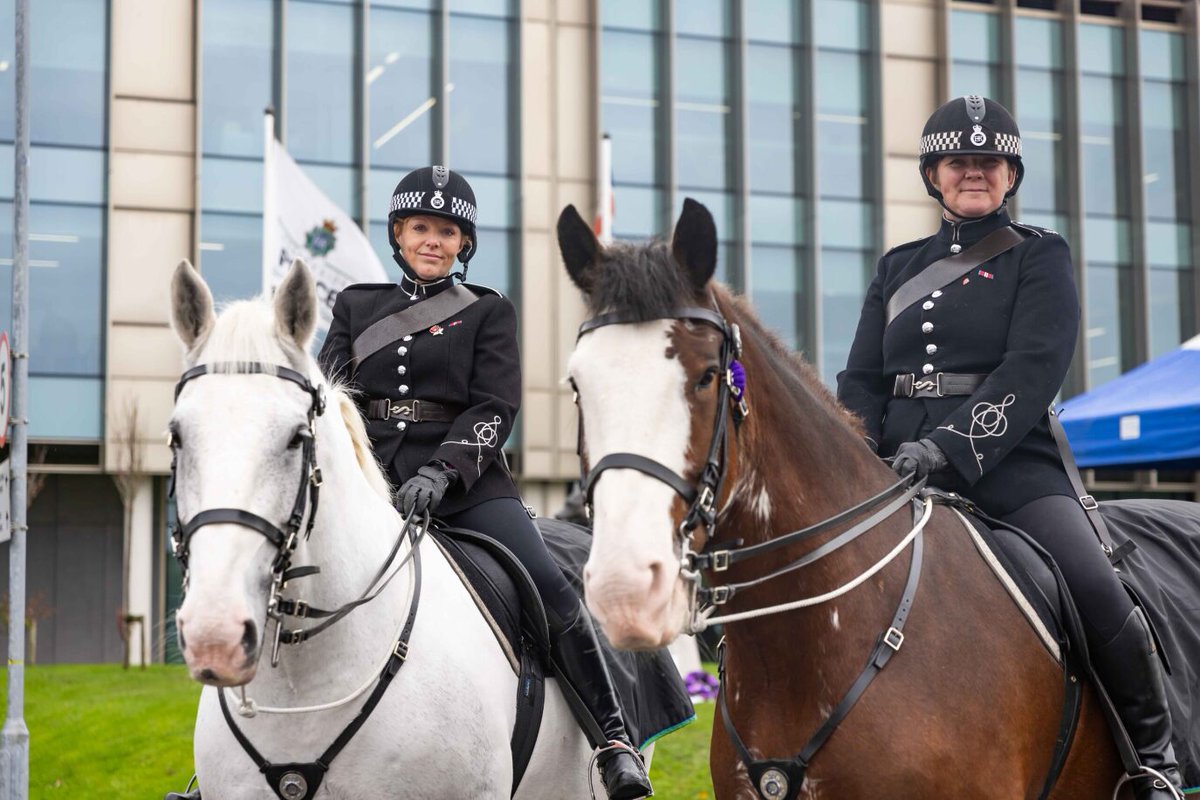 MerPolMounted's tweet photo. This morning Silver, Beau and 2 of our officers paid their respects during the @MA_PurplePoppy Wreath Laying Ceremony at our Operational Command Centre.
#StandTall #PHSilver #PHBeau #MurphysArmy #PurplePoppy #TheyAlsoServed https://t.co/iaG1APggSH