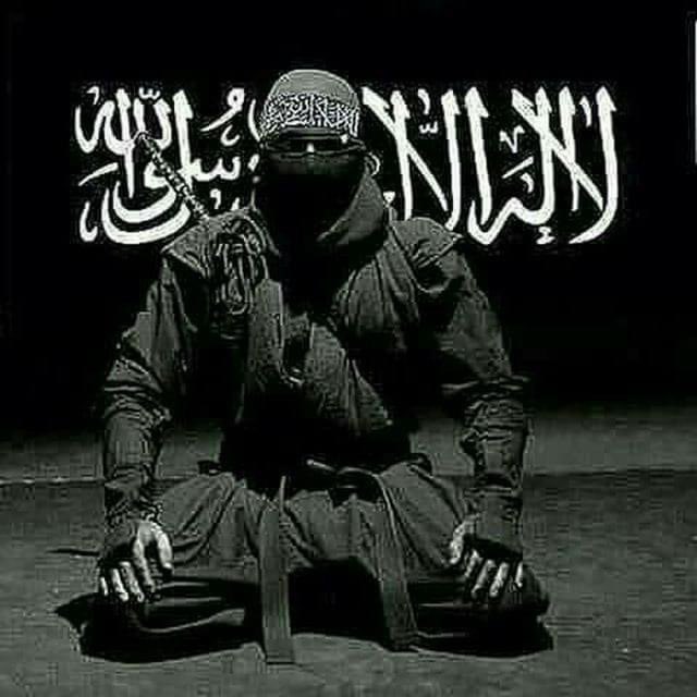 AliHashimSmith1 tweet picture
