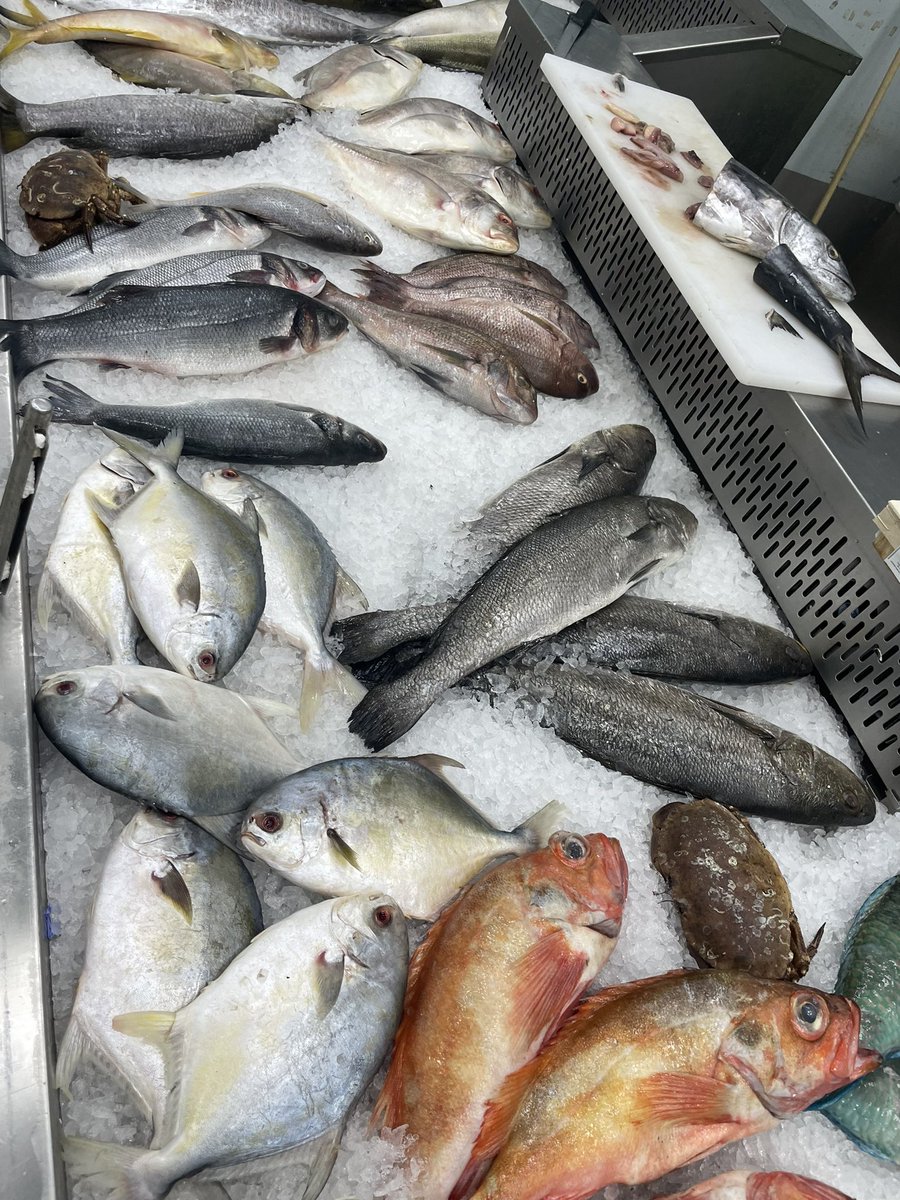 sivajns's tweet image. மீனம்மா… 😍அதிகாலையிலும் அந்தி மாலையிலும்… உந்தன் ஞாபகமே…😍#fishtime