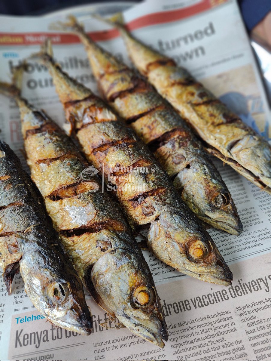 Fried Atlantic Mackerel (Oona) Available on paid order basis. Kes 1050/kg (5-6 fish) ORDER NOW ☎️ +254 721 639 601 PICK UP 📍 Balozi, South B #friedfish