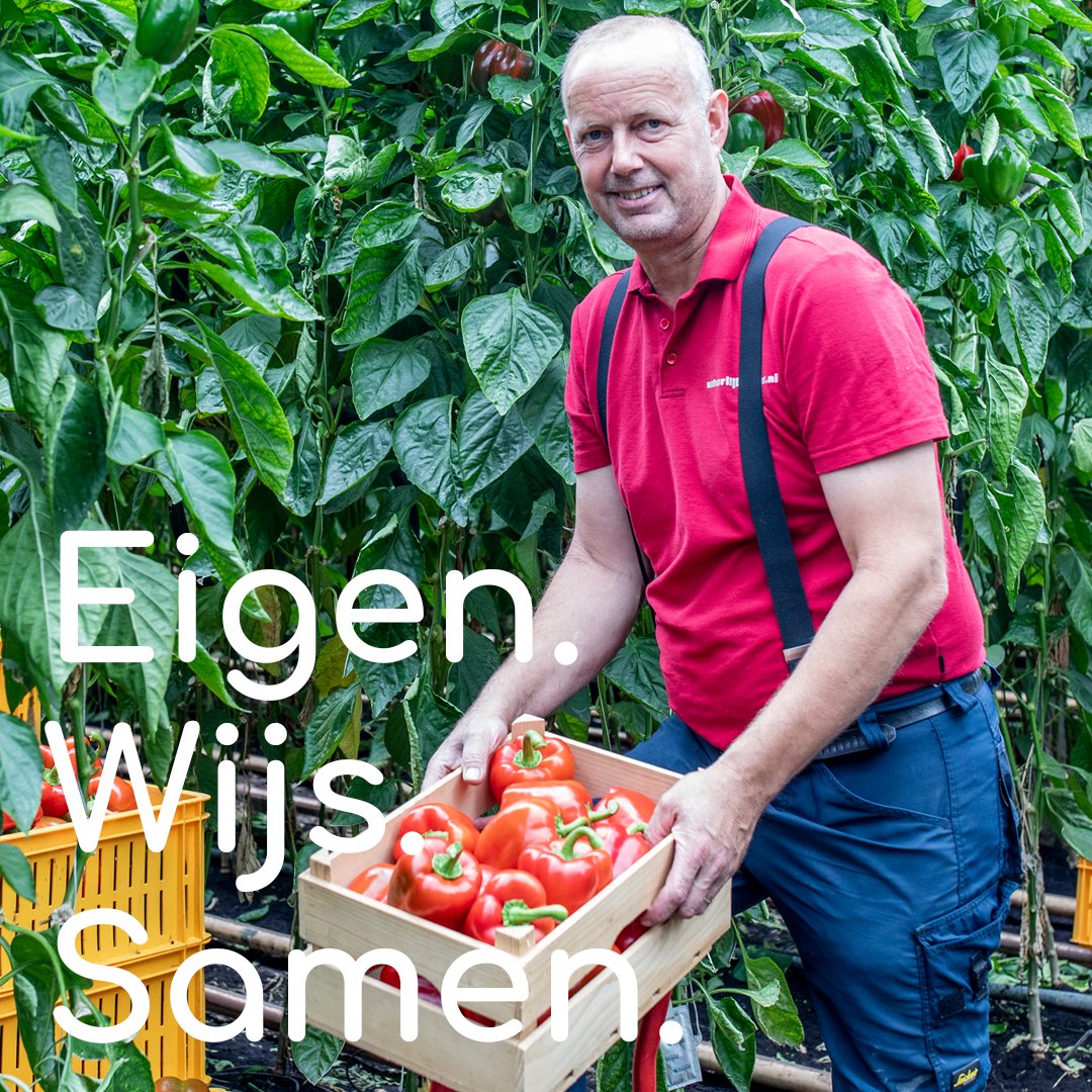 Oxin Growers tweet media