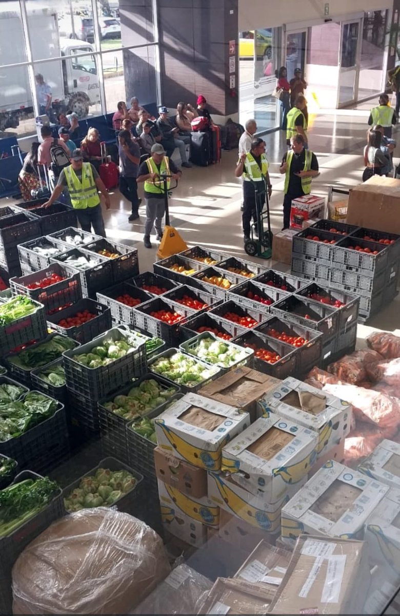 Aeropuerto Enrique Malek de David..