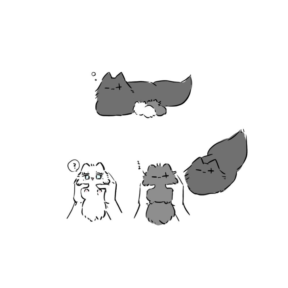 五夏🐈🐈🐈 
