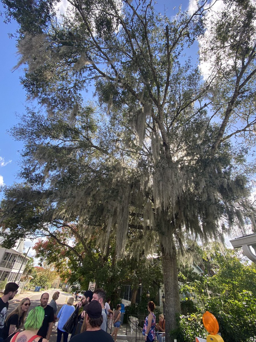 I fell in love with Cassadaga, FL 🧚🏼‍♀️