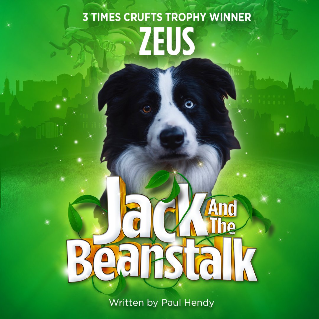 YorkTheatre's tweet photo. 🤩📢Meet our latest panto star... ZEUS!

Zeus has won three Young Kennel Club Crufts Trophies and #JackAndTheBeanstalk will be his stage debut.

🎟️08 Dec - 07 Jan. Come and give Zeus a round of a-paws: https://t.co/qnESuM6QbE https://t.co/fU2kpKUmKl