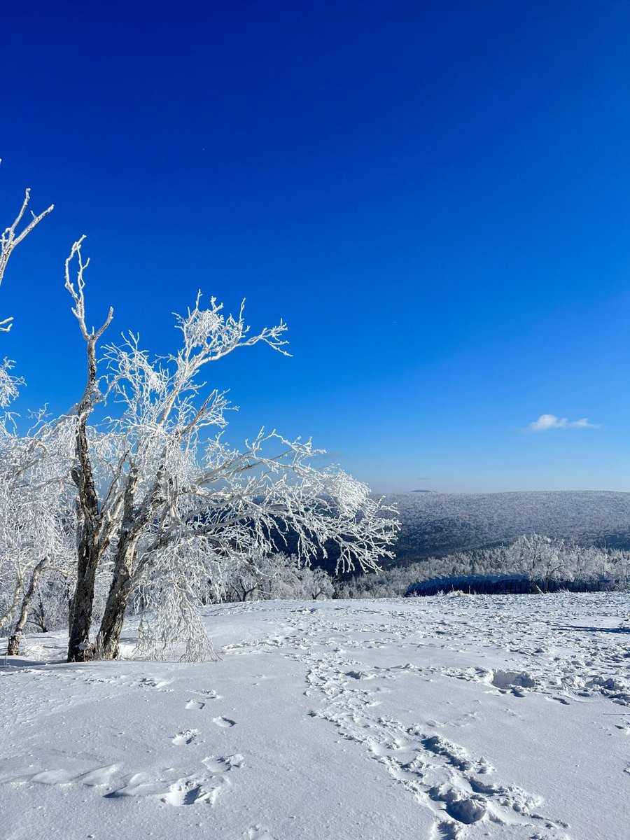CherieF71295's tweet photo. A friend from Harbin, China sent me photos of a beautiful snowy city!😍😍😍 https://t.co/b7flU6Bhnq