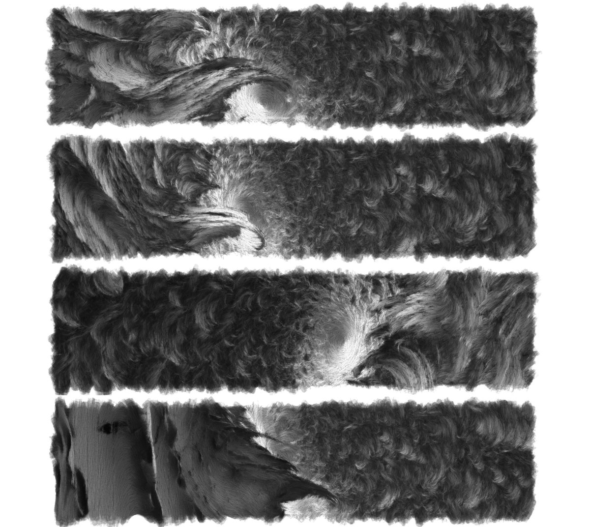 flockaroo's tweet image. fovs #generative #allcode
