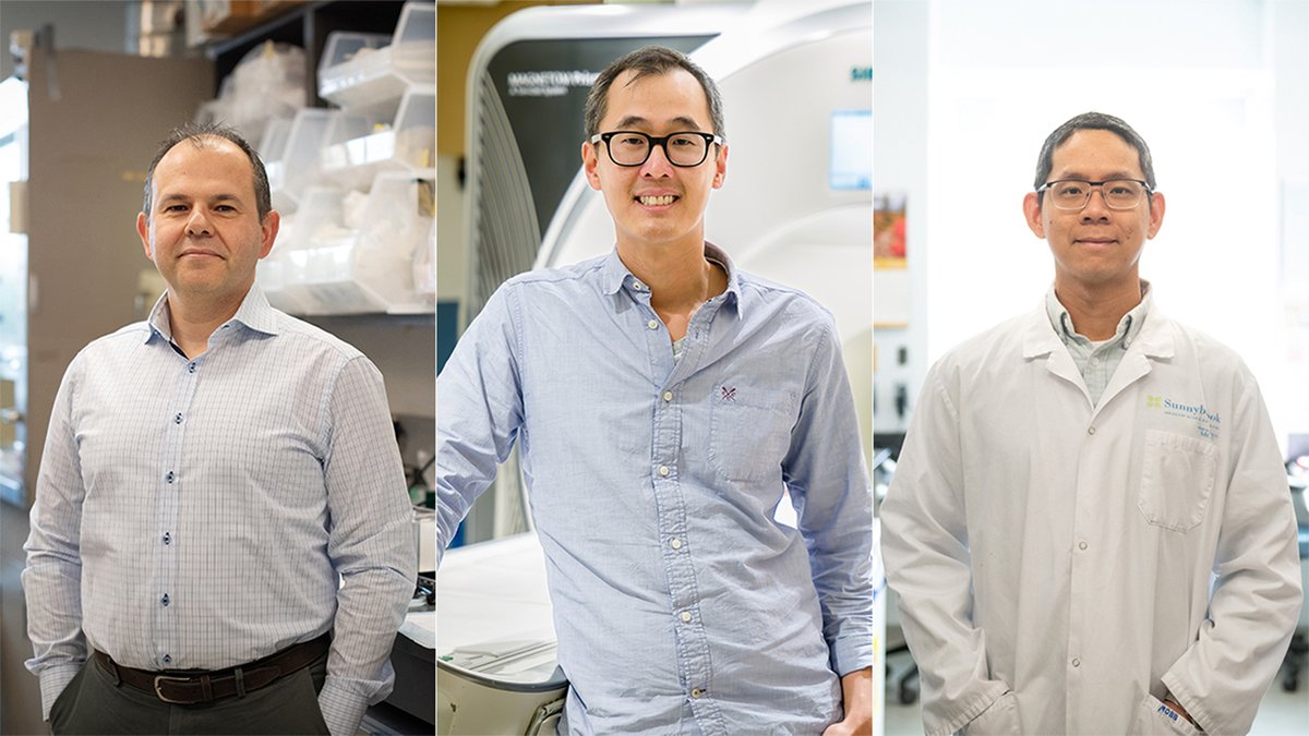 Three Sunnybrook Research Institute scientists were recently awarded Canada’s highest research honour, a Canada Research Chair. Congratulations to @IacovosMichael, Dr. Mark Chiew and Dr. Jesse Chao. Read more: bit.ly/47hlezg