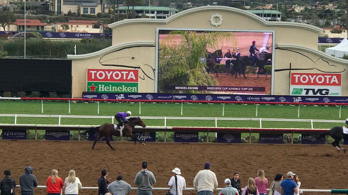 1783Group's tweet image. We are very excited to attend the @BreedersCup 2023 event at the Santa Anita Park Racecourse in California!
We look forward to meeting and talking with the competitors! 🏆🐎#

#BreedersCup40 #1783group