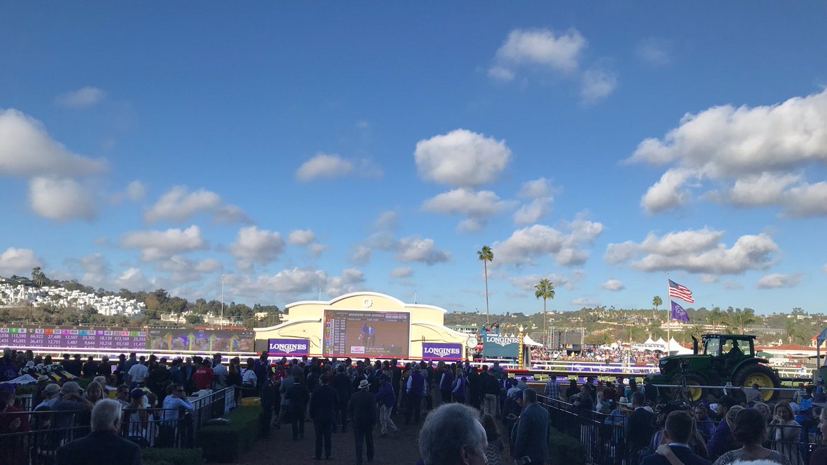 1783Group's tweet image. We are very excited to attend the @BreedersCup 2023 event at the Santa Anita Park Racecourse in California!
We look forward to meeting and talking with the competitors! 🏆🐎#

#BreedersCup40 #1783group