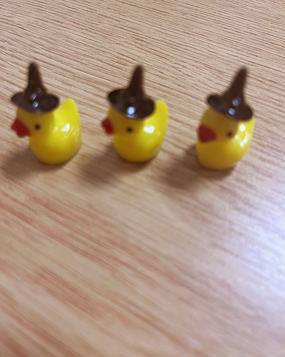 Charnwood6Form's tweet photo. Don’t forget to look out for the ducks around school tomorrow. Reminder that it is also a non-uniform / fancy dress day but please no masks. Please bring donations for the food bank and there will be prizes for the best fancy dress for Year 12 and 13 https://t.co/YVEUtAyDxk