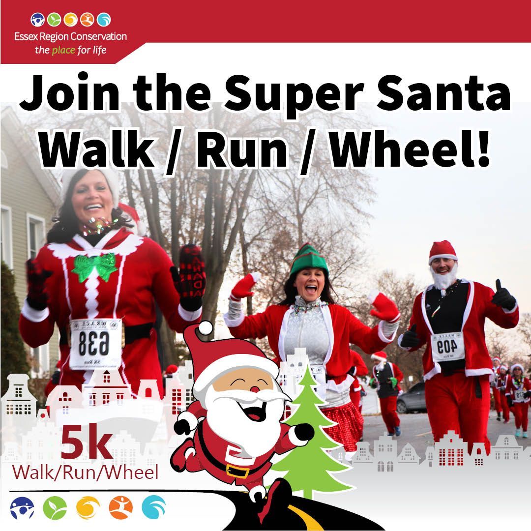 essexregionca's tweet photo. JOIN THE JOLLY FUN on November 18th in downtown Amherstburg at 5:00pm! Join more than 500 Santas in sharing jolly good cheer, raise funds to support conservation in the #PlaceforLife, and kick off the Amherstburg River Lights Festival. Register at https://t.co/txnU6RmAON https://t.co/1rwWKCcJId