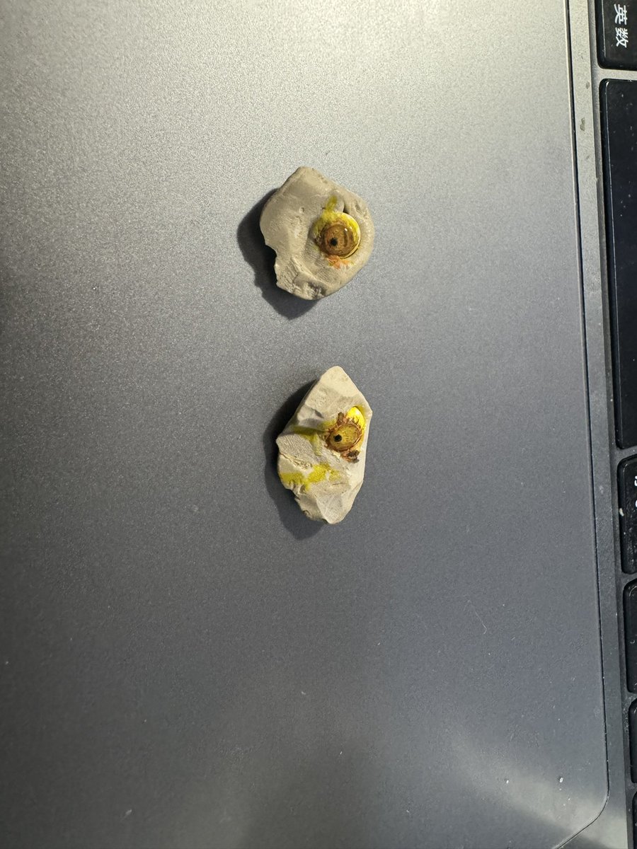 エクスプラスのレクシィ
柄が気に入らなくて、
ドボンして塗り直していた。
目をクリアにしてハイライトが入ると
急に生物感でてくるなぁ。