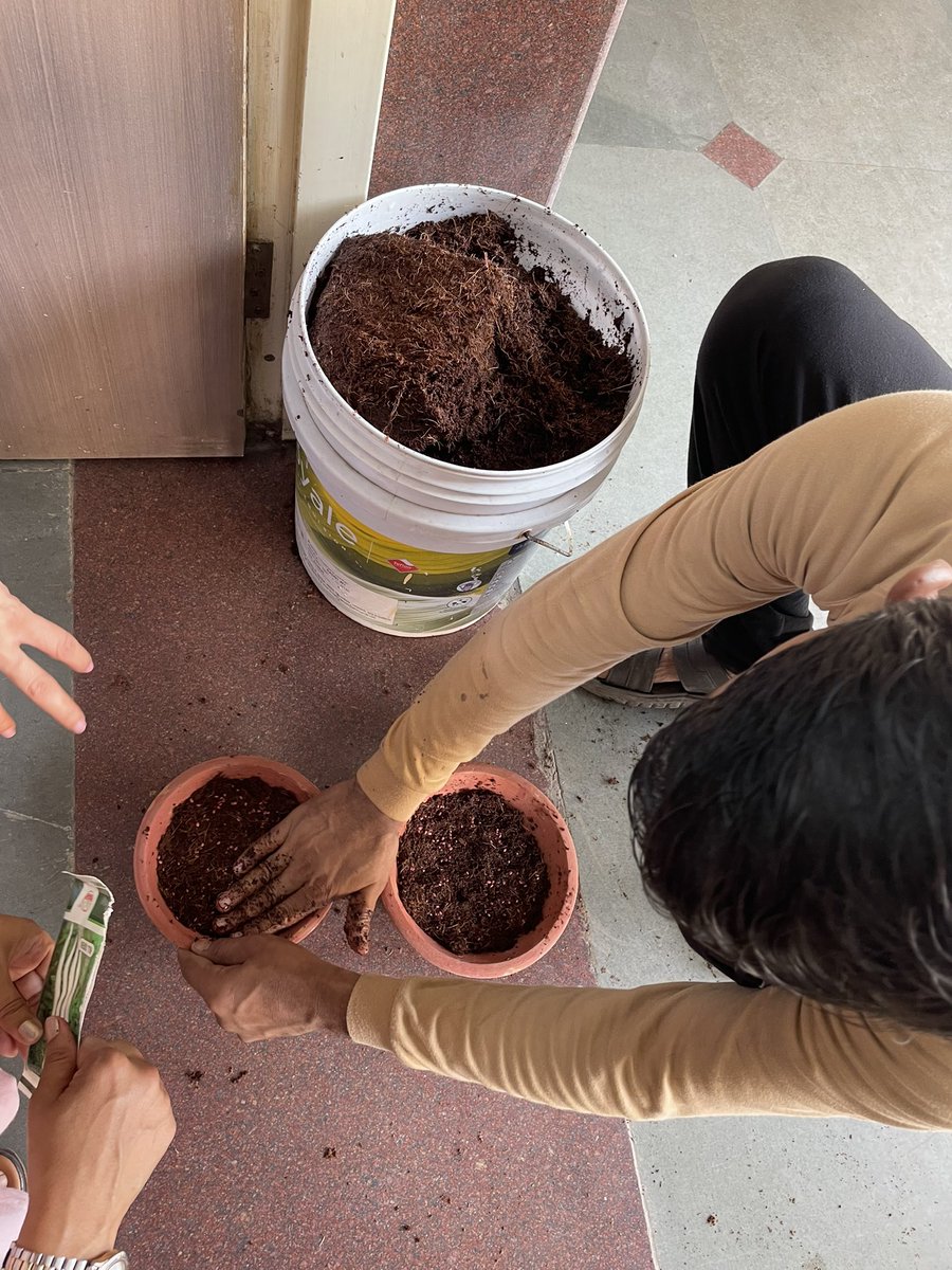 VikDrall's tweet photo. Feeling elated to be a part of #ProjectMicrogreens☘️
With @Dir_Education vision & support, #TeamDoE is planning to grow & harvest Microgreens within @DelhiGovtSchool premises.
Our students will consume them during food breaks😋
Let’s flourish Education & Micro-greens together! https://t.co/hKGjO1EWj1