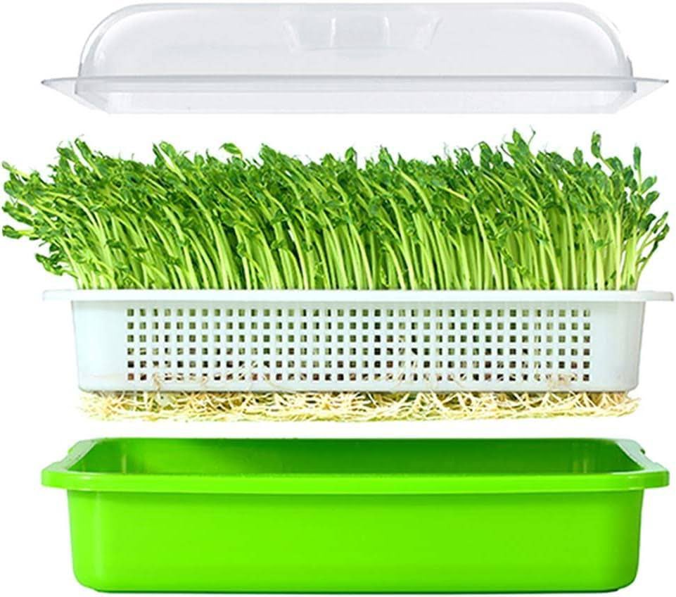 VikDrall's tweet photo. Feeling elated to be a part of #ProjectMicrogreens☘️
With @Dir_Education vision & support, #TeamDoE is planning to grow & harvest Microgreens within @DelhiGovtSchool premises.
Our students will consume them during food breaks😋
Let’s flourish Education & Micro-greens together! https://t.co/hKGjO1EWj1