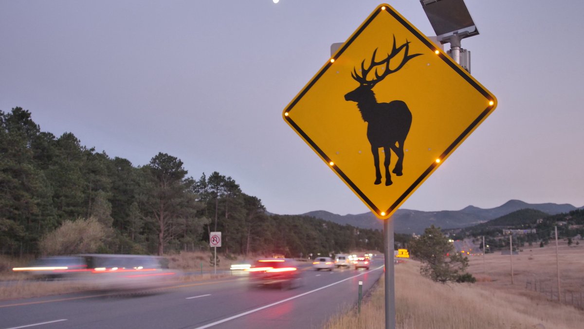 Colorado Parks and Wildlife tweet media