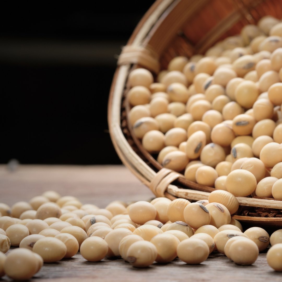 Honest_Medicine's tweet image. 8 Reasons to Love #Nattokinase: @MDMichaelTurner recently reviewed how one of the supplements that can be found in our #IPREVENT protocol - "natto" - benefits #cholesterol, lowers blood pressure and improves #cardiovascular health. 

Read here: covid19criticalcare.com/eight-reasons-…