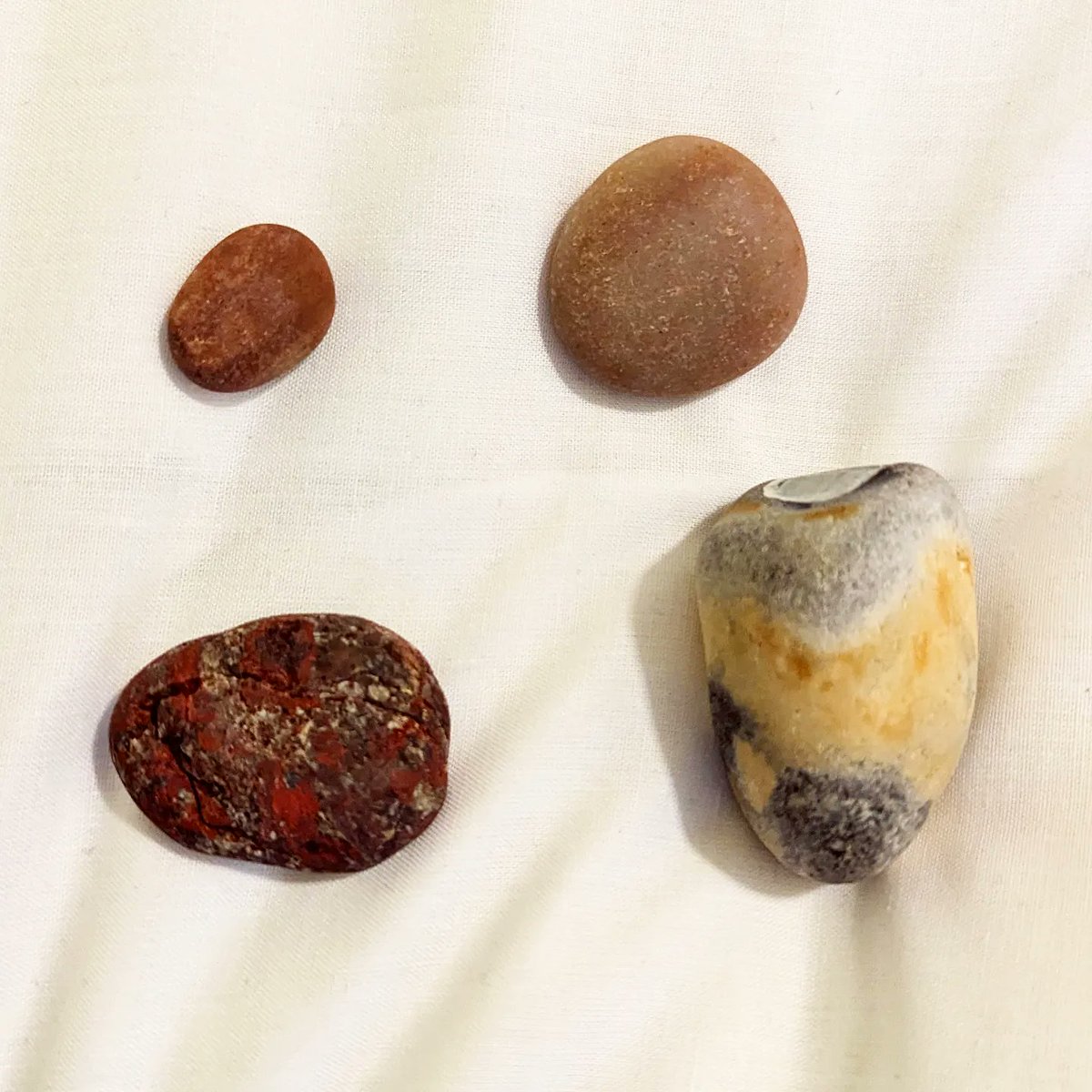 I find it adorable that the Year 13 group on fieldwork kept coming to show me all the bits they found on the beach! They suggested making a franken-crab which was a little less adorable