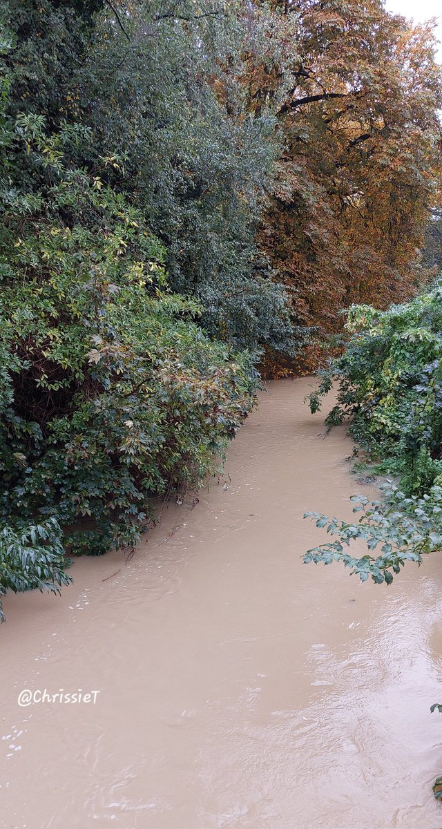 Went out to lunch with husband and the river in town is well up, trees look nice with their autumn shades though 🍂
         🌧☔️🌧☔️🌧☔️🌧
#Weather #BritishWeather