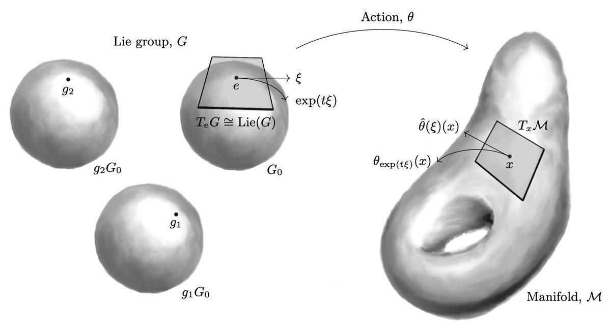 New on arXiv!!! 🚨🚨🔥🔥🤯🤯 A Unified Framework to Enforce, Discover, and Promote Symmetry in Machine Learning by Sam Otto, with N. Zolman, N. Kutz, & myself A tour de force in machine learning & differential geometry arxiv.org/abs/2311.00212 (w/ beautiful drawings by Sam)