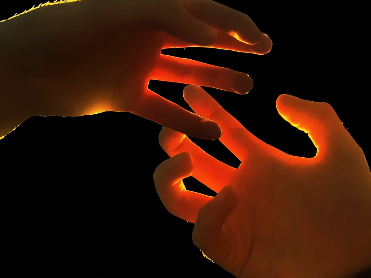 This ref picture I took for an assignment hind goes crazy