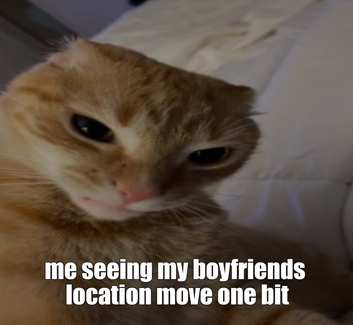 peppabaconn's tweet photo. #alwayswatching #lovebf https://t.co/IV4a3QZZZM