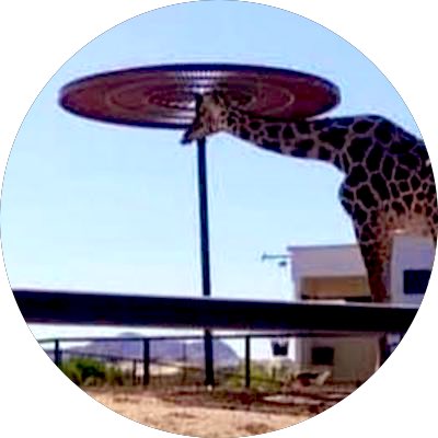 #SalvemosABenito
¿Me ayudan con un RT?
La jirafa Benito va a morir. Ya iniciaron las heladas en Ciudad Juárez y la Gobernadora de #Chihuahua <a href="/MaruCampos_G/">Maru Campos</a> no tiene interés de salvarlo. Arrobémosla.
#SalvemosABenito.
👇🏿
Sigan esta cuenta:
<a href="/SalvemosABenito/">Salvemos a Benito</a>