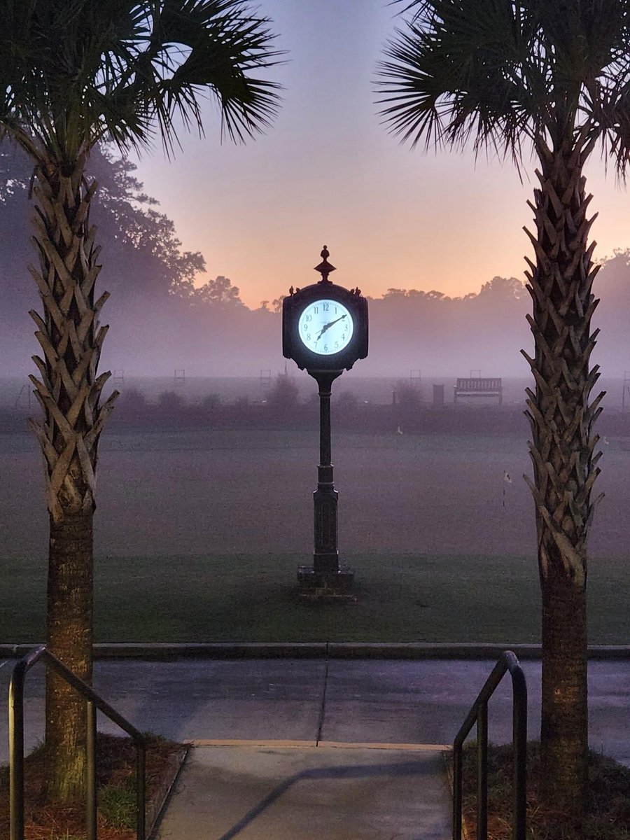 Mornings at Marshwood 😍
📸: Mike Welch