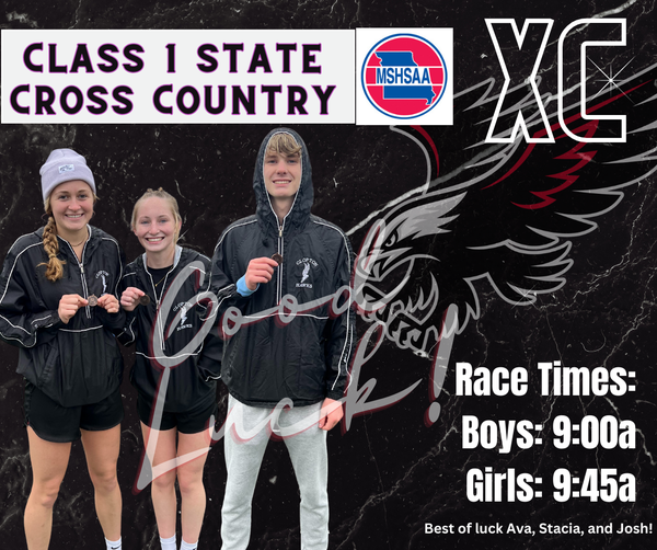 Good luck to our Cross Country Runners heading to State - Stacia, Ava, and Josh! #HawkProud