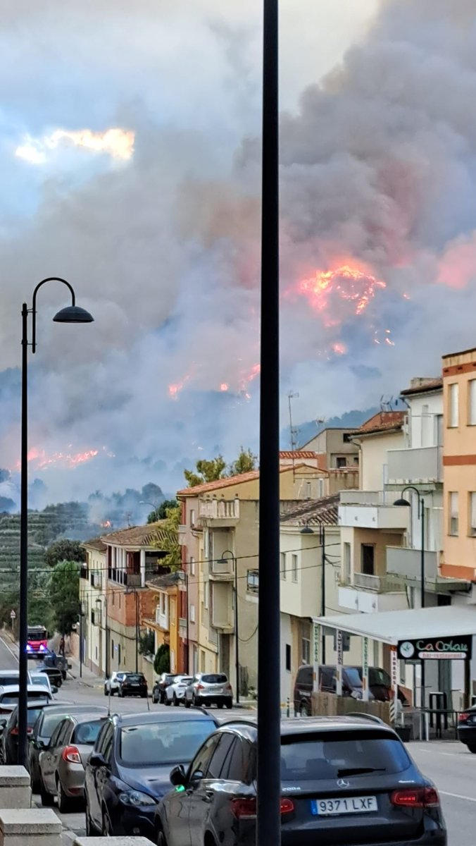 Montitxelvo i Terrateig (la Vall d'Albaida) en estos moments 😪

El foc avança molt ràpidament degut al fort vent. Les ratxes en alguns punts de la comarca arriben als 100 km/h. Unes condicions molt complicades.