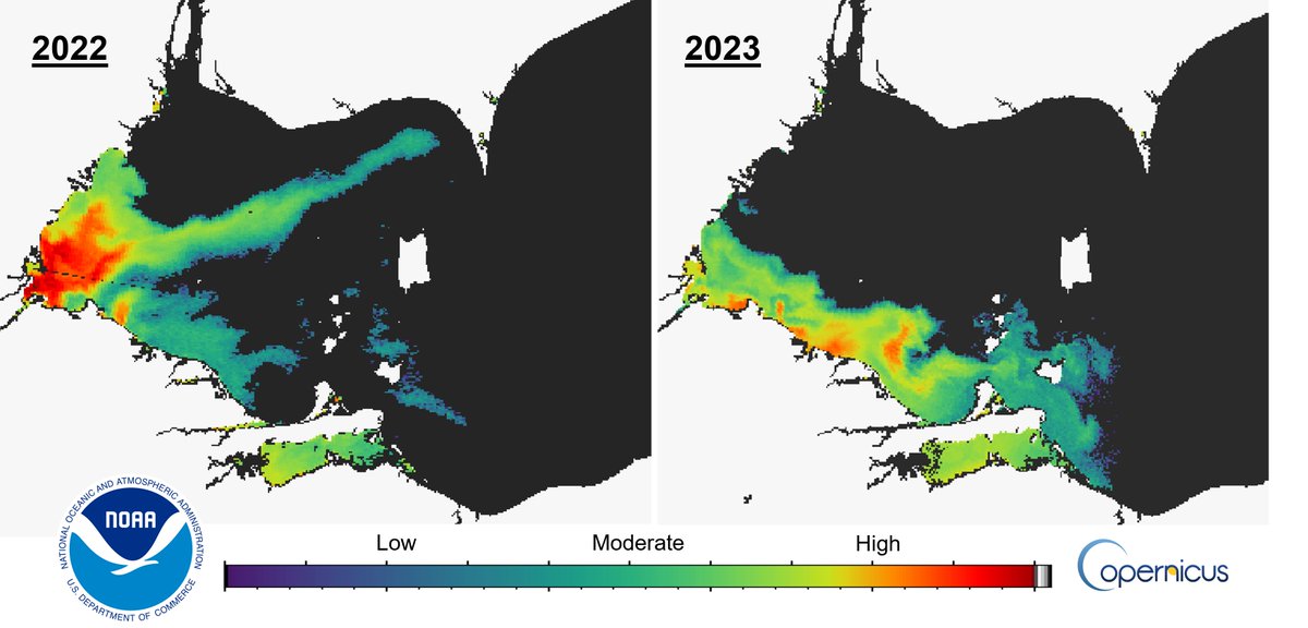 Lake Erie's summer #HarmfulAlgalBloom season has come to an end, and @NOAA and partners have issued the final bulletin. The 2023 western #LakeErie cyanobacterial bloom had a severity index of 5.3, which is moderately severe, and less intense than 2022. coastalscience.noaa.gov/news/2023-lake…