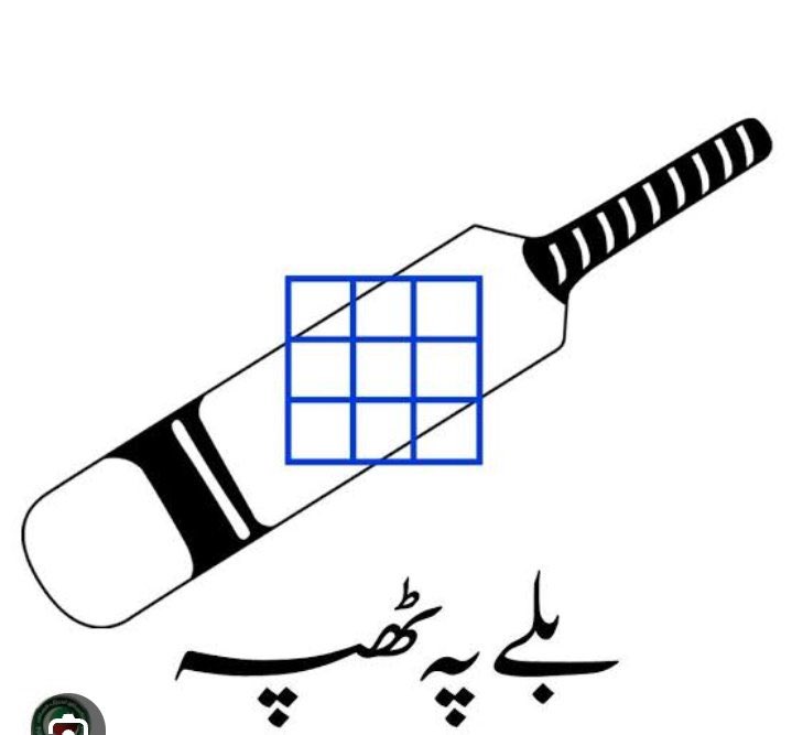 یہ ہیش ٹیگ ہو گا ہمارا انشااللہ۔
#بلے_پر_ٹھپہ