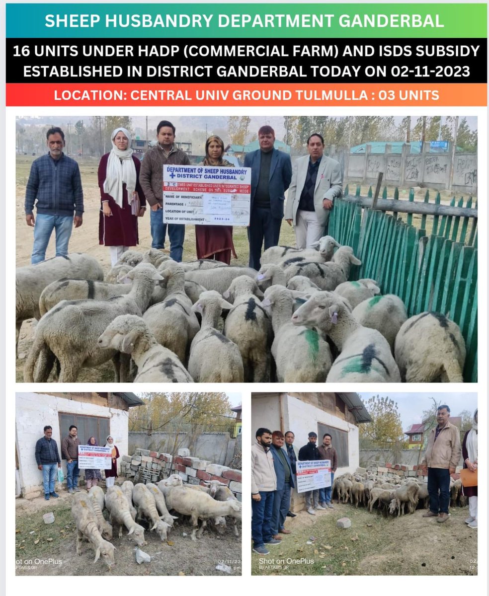 DSHOGanderbal's tweet photo. #azadikaamrutmahotsav
#VigilanceAwarenessWeek 
16 units under ISDS Subsidy and HADP (Commercial farm) established at various locations in district Ganderbal today on 02-11-2023 in presence of Joint Director Extension Sheep Husbandry Department Kmr
@dcganderbal 
@DirSHDK https://t.co/MFftx6ZpUr
