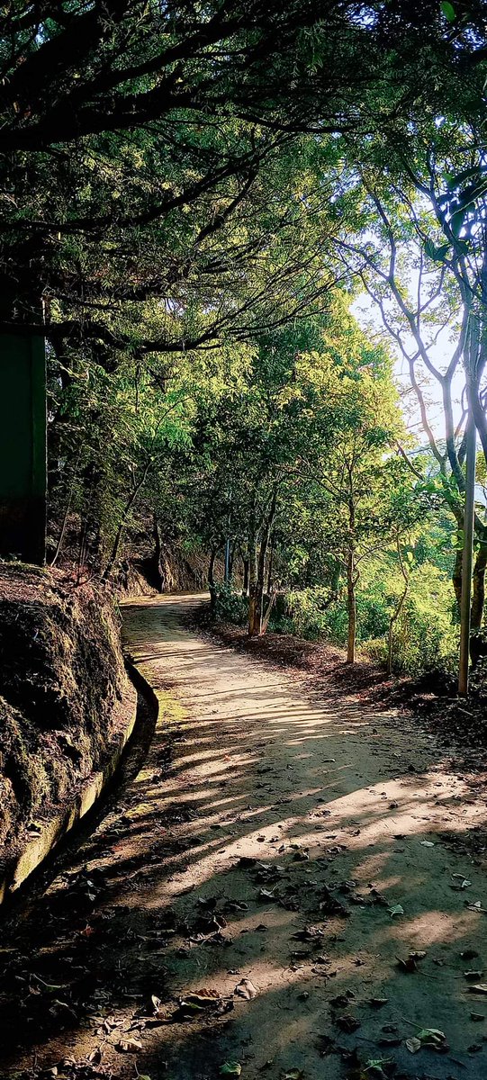 mizoraminsta's tweet photo. Somewhere in Durtlang
.
.
Pic credit 📷 Chawii Ralte
.
.
.
#walkpath #path #road #footpath #mizoram #mizoraminsta #northeastindia #durtlang https://t.co/hKOEGV1MPZ