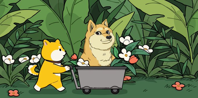 memepartyio's tweet photo. Spread more joy and positivity on 𝕏. 
Don't forget to wish Kabosu a happy birthday! 
🐶🎂🐕 
Doge Day
@elonmusk 

#DOGE #DogeDay #DogeMEME https://t.co/iHKz2JuTVX