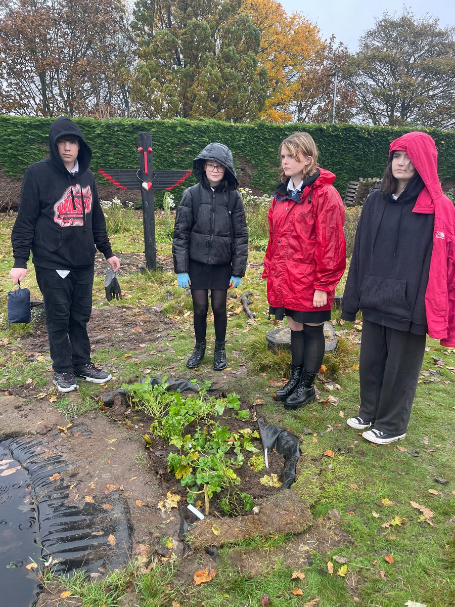 Wet weather seemed to support the idea of creating a bog garden with <a href="/froglifers/">Froglife</a> at Duntrune Community Garden this week. It was miserable but we got the job done. A credit to our young people. #EcoSchools