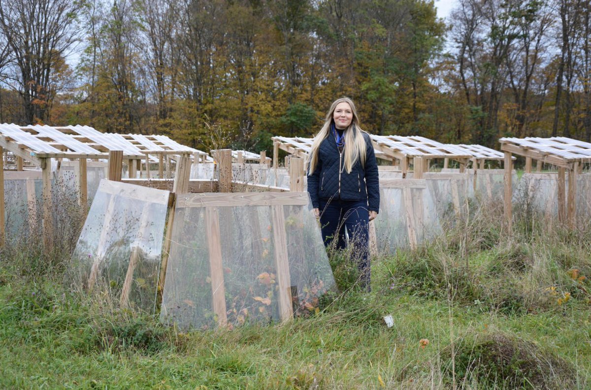 Soils are stressed out — from drought, heat, antibiotics, fungicides, and more. Cary's @Jane_M_Lucas is untangling how those stressors interact. Her findings will help farmers maintain healthy soils and maximize soil carbon storage.

Read more: caryinstitute.org/news-insights/…