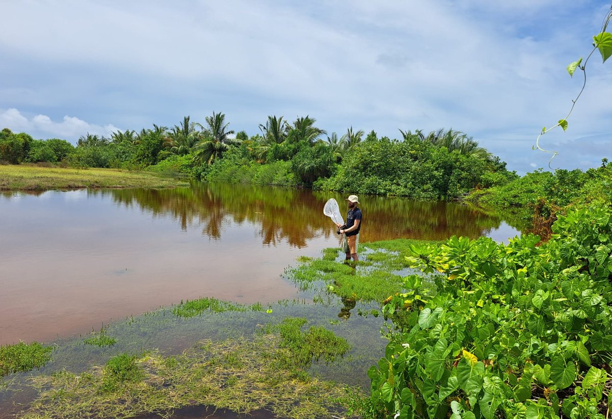 Dr Will Leo Hawkes tweet media