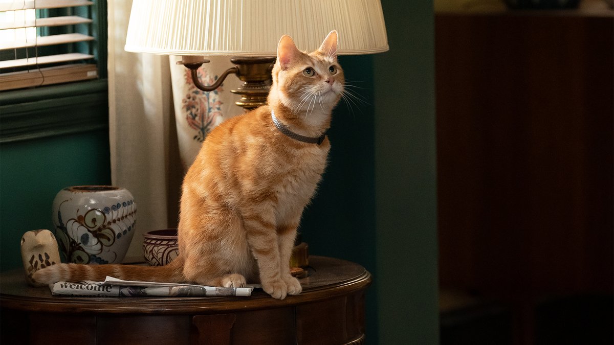 Marvel NL tweet media