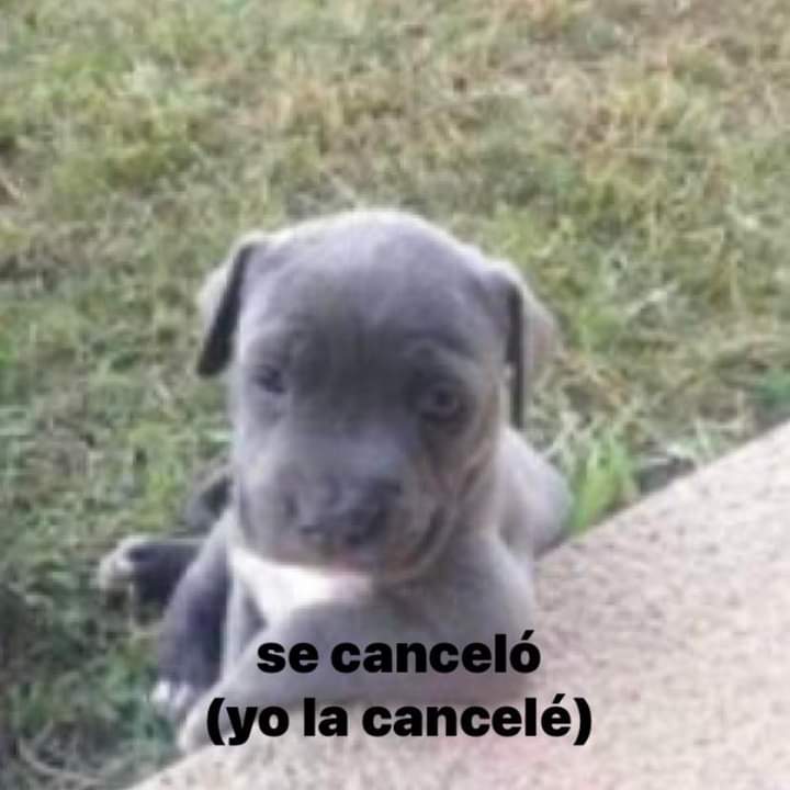 Mi mamá: no tenías clase hoy?
yo: