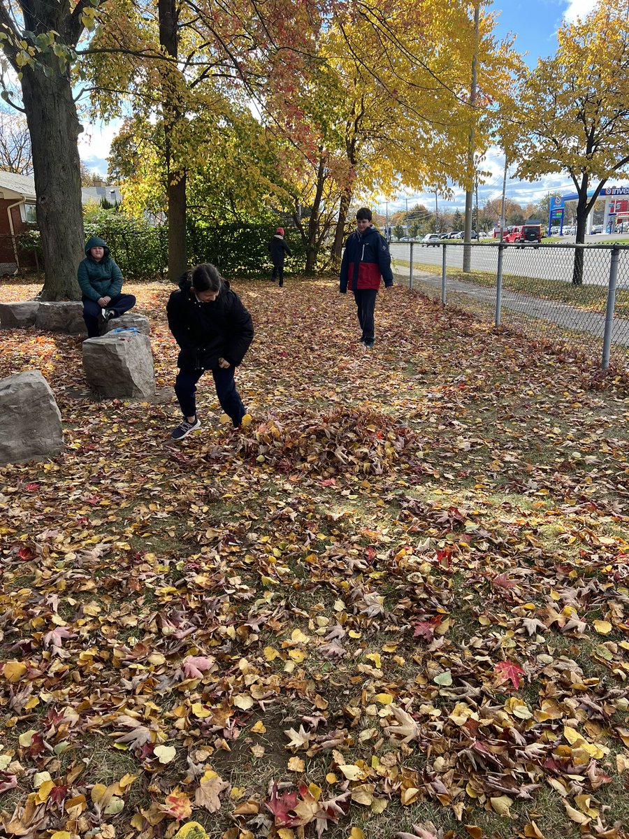 Having fun in the leaves! 🍃🍁  <a href="/ADayatStRaphs/">St. Raphael School</a>